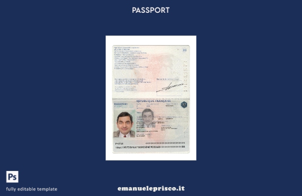 modello presente di passaporto francese in stile verificato